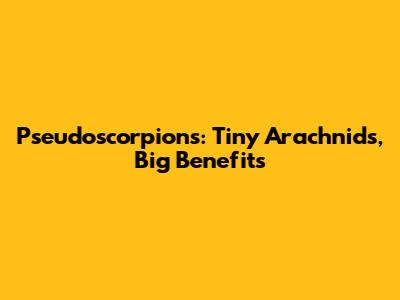 Pseudoscorpions: Tiny Arachnids, Big Benefits