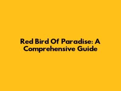 Red Bird Of Paradise: A Comprehensive Guide