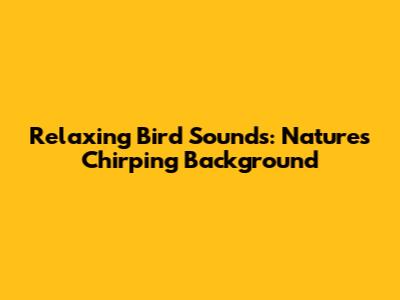 Relaxing Bird Sounds: Nature's Chirping Background