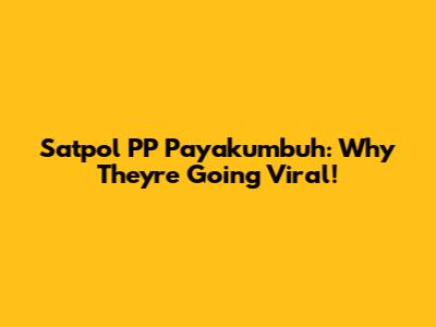 Satpol PP Payakumbuh: Why They're Going Viral!