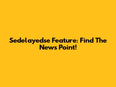 Sedelayedse Feature: Find The News Point!