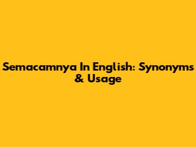 Semacamnya In English: Synonyms & Usage