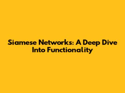 Siamese Networks: A Deep Dive Into Functionality