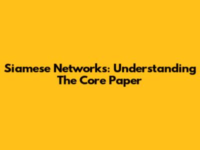 Siamese Networks: Understanding The Core Paper