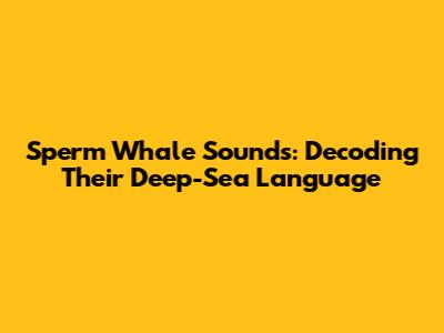 Sperm Whale Sounds: Decoding Their Deep-Sea Language