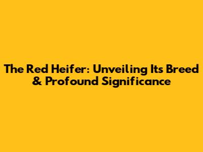 The Red Heifer: Unveiling Its Breed & Profound Significance
