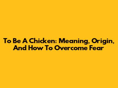 To Be A Chicken: Meaning, Origin, And How To Overcome Fear