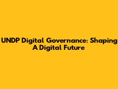 UNDP Digital Governance: Shaping A Digital Future