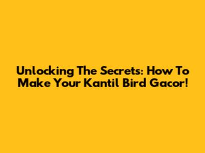 Unlocking The Secrets: How To Make Your Kantil Bird Gacor!