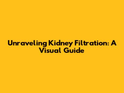 Unraveling Kidney Filtration: A Visual Guide
