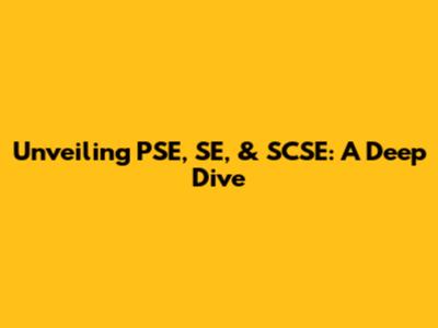 Unveiling PSE, SE, & SCSE: A Deep Dive