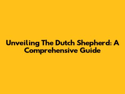 Unveiling The Dutch Shepherd: A Comprehensive Guide