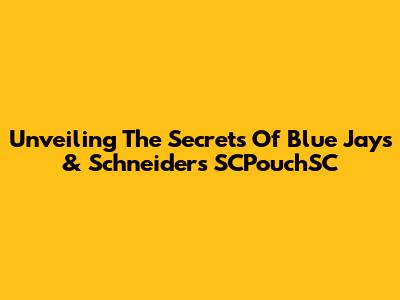 Unveiling The Secrets Of Blue Jays & Schneider's SCPouchSC