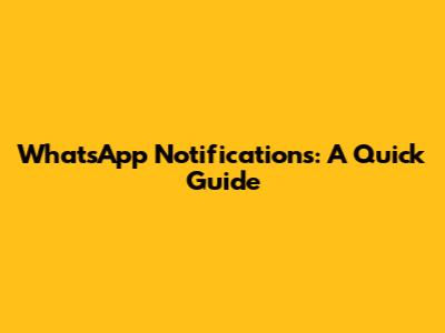 WhatsApp Notifications: A Quick Guide