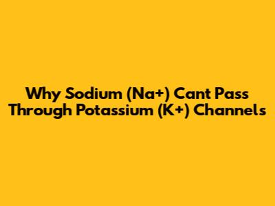 Why Sodium (Na+) Can't Pass Through Potassium (K+) Channels