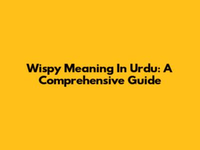 Wispy Meaning In Urdu: A Comprehensive Guide