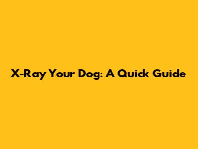 X-Ray Your Dog: A Quick Guide