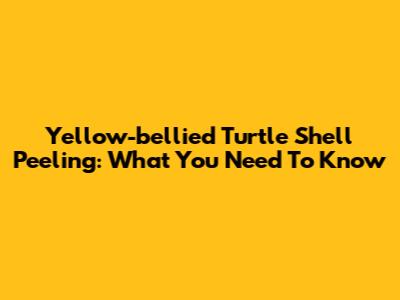 Yellow-bellied Turtle Shell Peeling: What You Need To Know