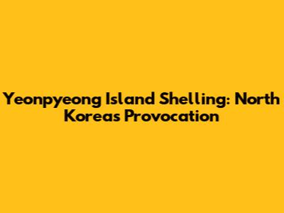 Yeonpyeong Island Shelling: North Korea's Provocation