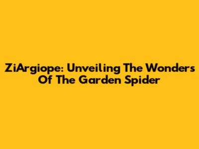 ZiArgiope: Unveiling The Wonders Of The Garden Spider